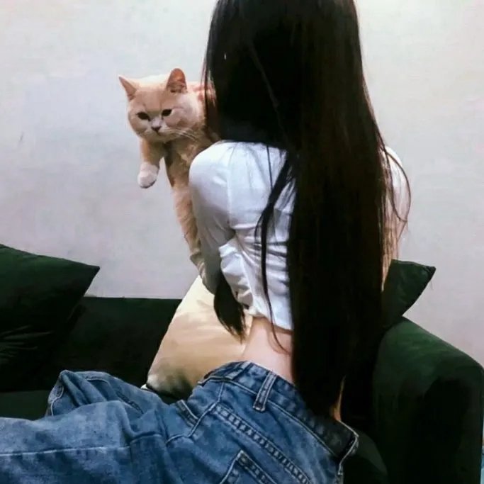 黛安娜的婚礼